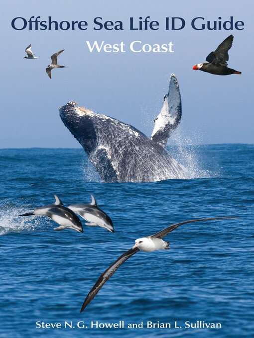 Title details for Offshore Sea Life ID Guide by Steve N. G. Howell - Available